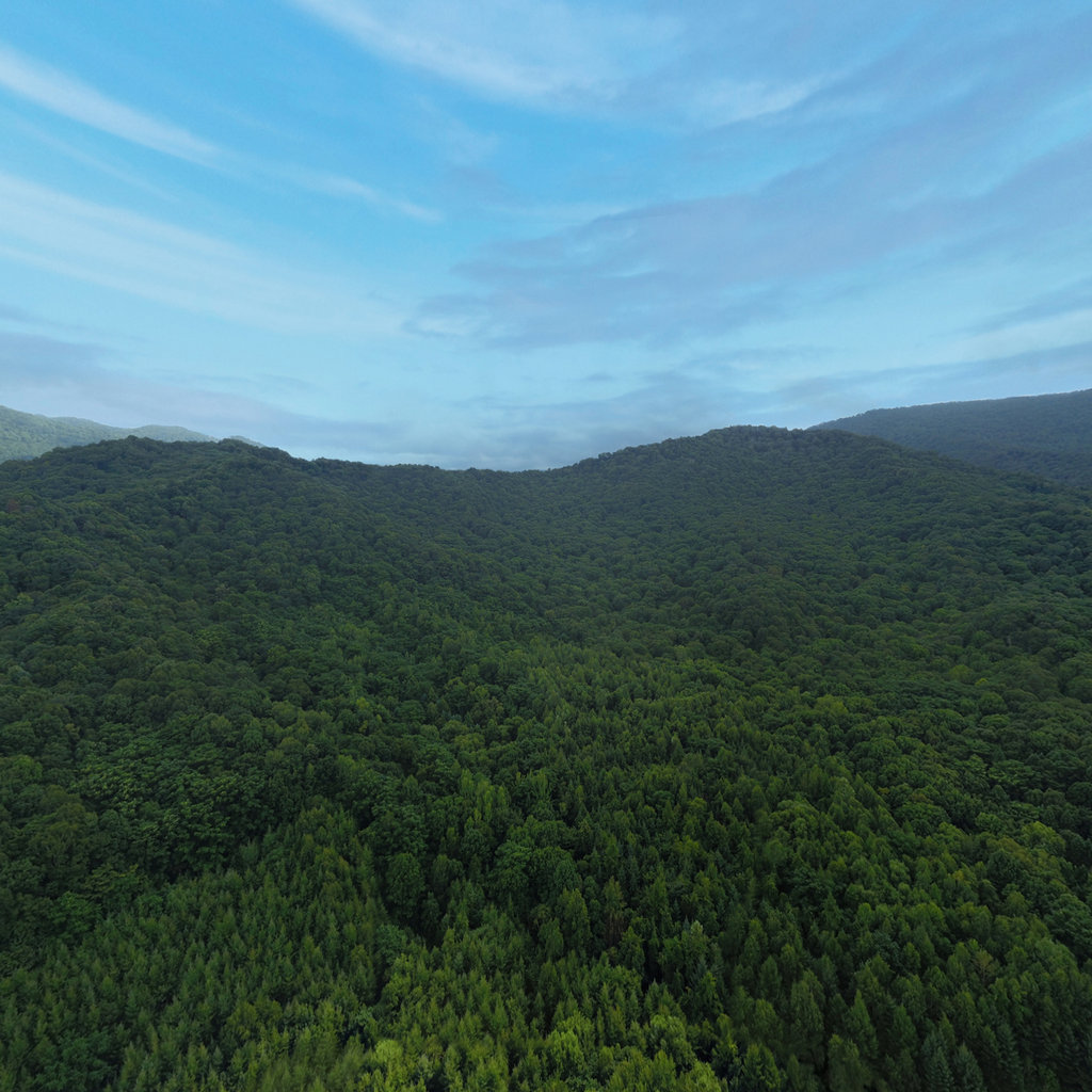 凤凰山国家森林公园